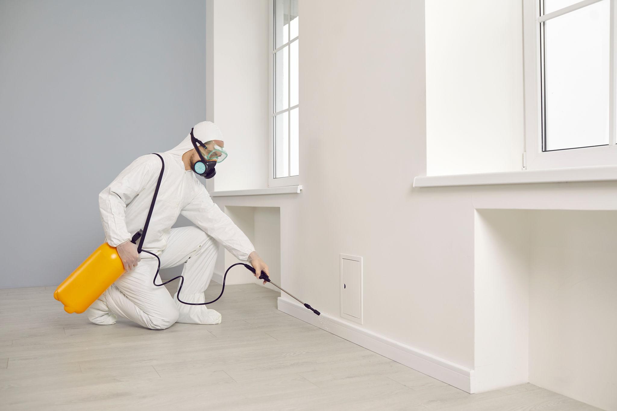 Best Pest Control Services in Delhi NCR | Home Pest Secure