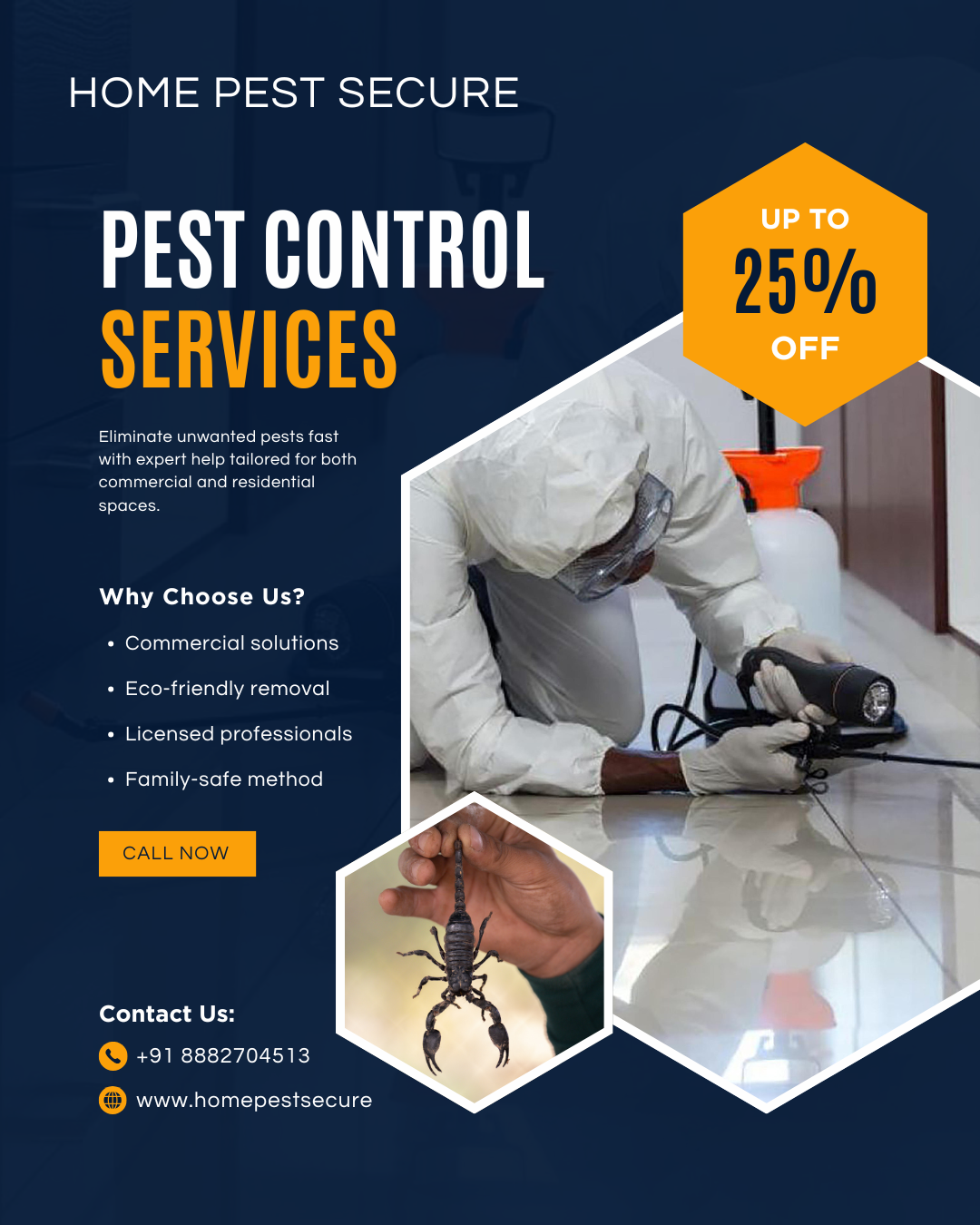 Best Pest Control in Dwarka Delhi